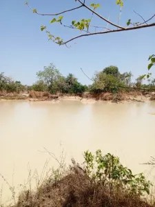 Շինարարական հողատարածք Վաճառվում է 0000 Brikama Gambia  DE