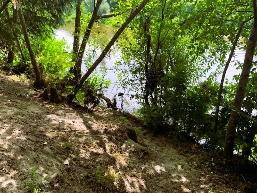 Շինարարական հողատարածք Վաճառվում է - 3300 Arganil PT Image 8